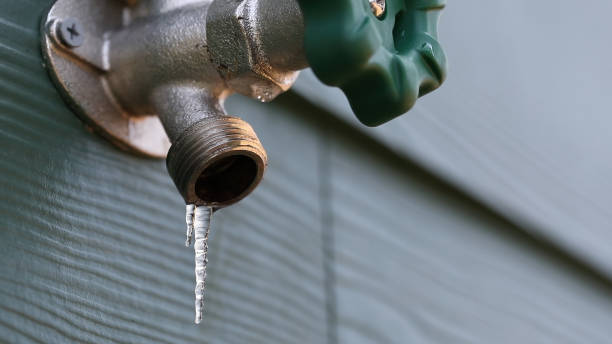 Best Sprinkler Systems  in Duncansville, PA